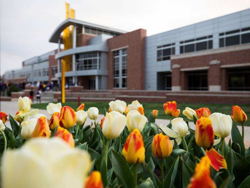 Tulips in front of RSC