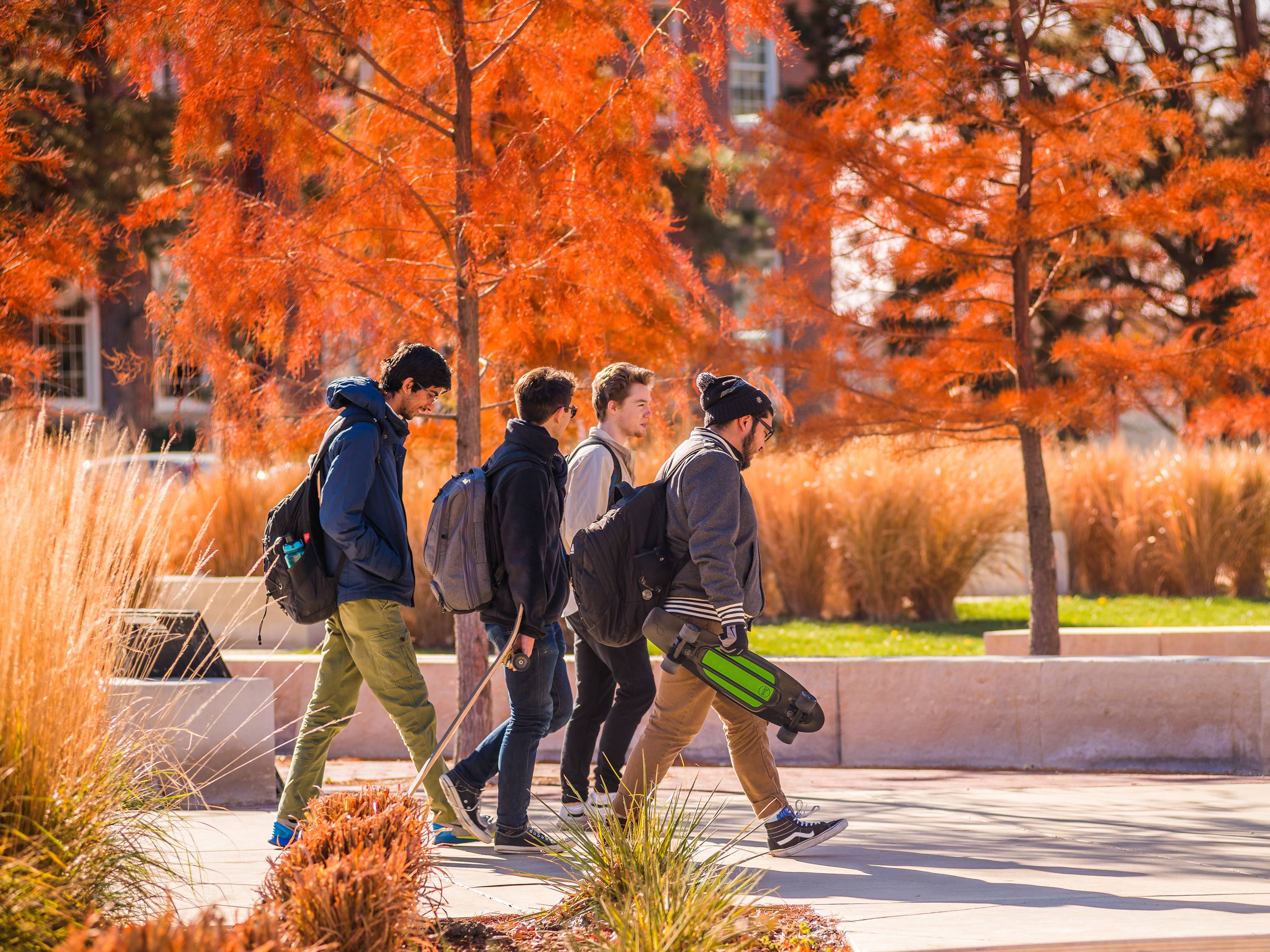 students in fall