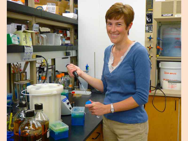 Moriah Beck, assistant professor of chemistry, works on cancer research.